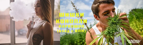 крисы Каменногорск