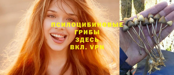 ALPHA PVP Карпинск