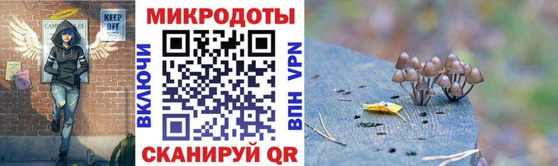 Псилоцибиновые грибы мицелий  Купить где  Дубовка 
